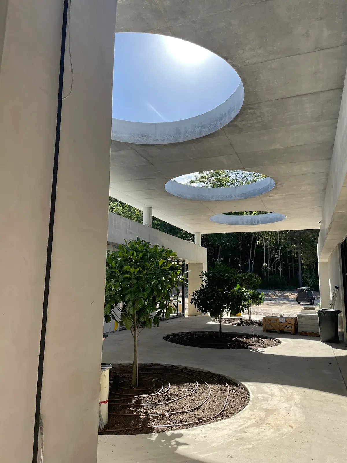 Circular openings in the concrete roof above the planted courtyard at The Villa